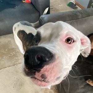 Meet your Posher, Macy